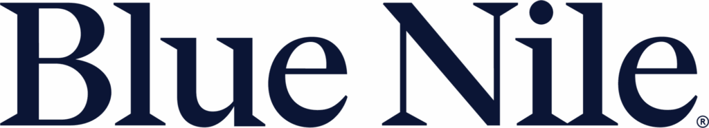 Blue Nile logo with the brand name in large, dark blue serif font on a light background, showcasing a refined visual direction.